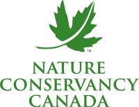 NCC_Wordmark_E_Logo_RGB-800x618